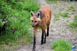 Zoo de Lille 2023 - 42