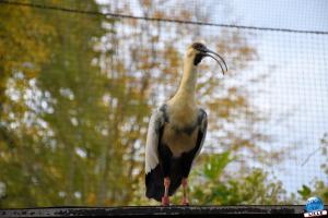 Zoo de Lille 2025 - 29