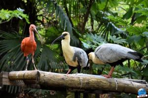 Zoo de Lille 2025 - 32