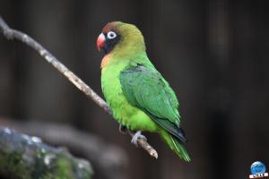 Zoo de Lille 2025 - 01