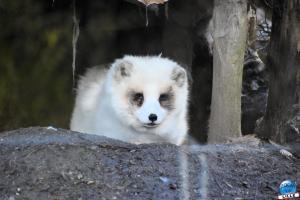 Zoo de Lille 2025 - 10