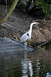 Zoo de Lille 2025 - 13