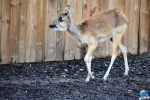Zoo de Lille 2025 - 15