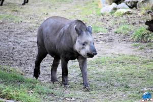 Zoo de Lille 2025 - 16