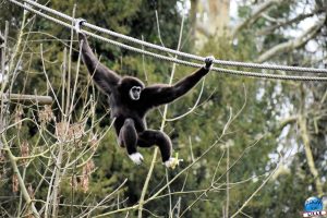 Zoo de Lille 2026 - 17