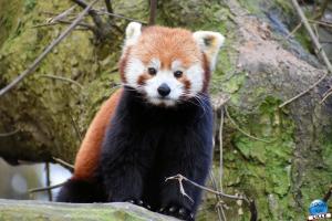 Zoo de Lille 2022